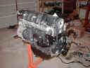 progress 8-8-01 back.jpg (358730 bytes)