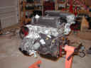 progress 8-8-01 front.jpg (373109 bytes)
